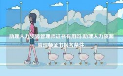 助理人力資源管理師證書有用嗎(助理人力資源管理師證書報(bào)考條件)
