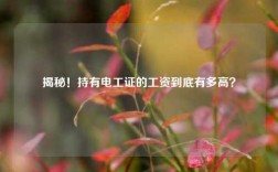 揭秘！持有電工證的工資到底有多高？