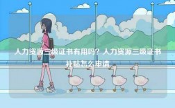 人力資源三級(jí)證書(shū)有用嗎？人力資源三級(jí)證書(shū)補(bǔ)貼怎么申請(qǐng)