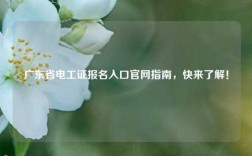廣東省電工證報(bào)名入口官網(wǎng)指南，快來(lái)了解！