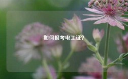 如何報(bào)考電工證？