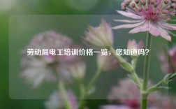 勞動局電工培訓(xùn)價格一覽，您知道嗎？
