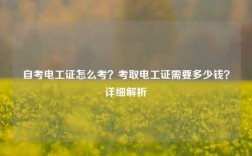 自考電工證怎么考？考取電工證需要多少錢(qián)？詳細(xì)解析