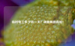 臨時(shí)電工多少錢一天？調(diào)查揭露真相！