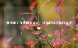 低壓電工在線模擬考試，讓你輕輕松松獲得證書(shū)！