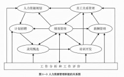 人力資源管理的職能有哪些(人力資源管理數字化)