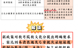 藝考2024新政策