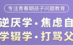湖北武漢-紐特心理疏導(dǎo)機構(gòu)|叛逆、厭學(xué)、網(wǎng)癮