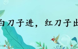 白刀子進(jìn)，紅刀子出是什么意思_近義詞_來源
