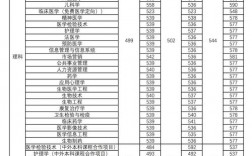2024年新鄉(xiāng)醫(yī)學(xué)院錄取分數(shù)線