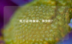 電工證3年復審，多少錢？