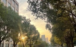 權威招生信息 | 安徽工貿職業(yè)學校2025年"3+2"五年制高職分段培養(yǎng)計劃