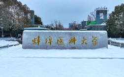 權(quán)威解讀！2025安徽自考護(hù)理學(xué)本科唯一報(bào)考院校：蚌埠醫(yī)科大學(xué)