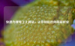 快速辦理電工上崗證，讓你輕松邁向高薪職業(yè)