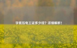 學低壓電工證多少錢？詳細解析！