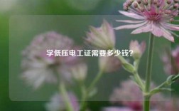 學(xué)低壓電工證需要多少錢？