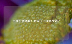 市場價格調(diào)查：水電工一天多少錢？