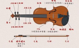 十種不適合學(xué)小提琴的人（特點）