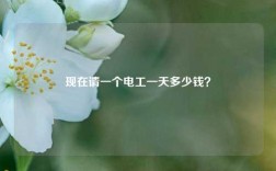現在請一個電工一天多少錢？