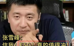 張雪峰談esg證書 分析師就業前景