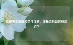 低壓電工證報(bào)名條件詳解：你是否具備這些條件？