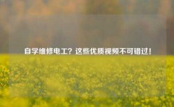 自學(xué)維修電工？這些優(yōu)質(zhì)視頻不可錯(cuò)過(guò)！