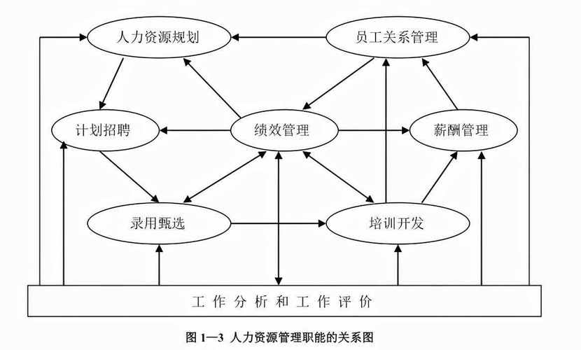 人力資源管理的職能有哪些(人力資源管理數(shù)字化)-圖1