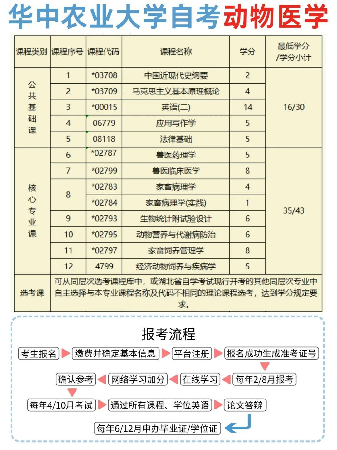 醫學本科自考(成人自考臨床醫學)-圖1