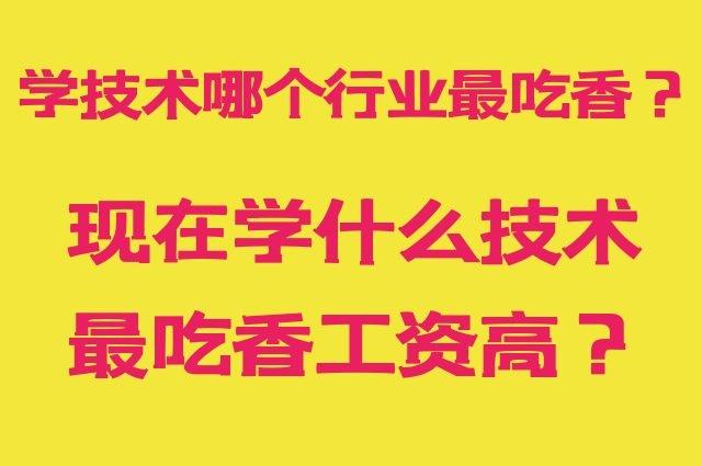 學(xué)技術(shù)哪個行業(yè)最吃香-圖1