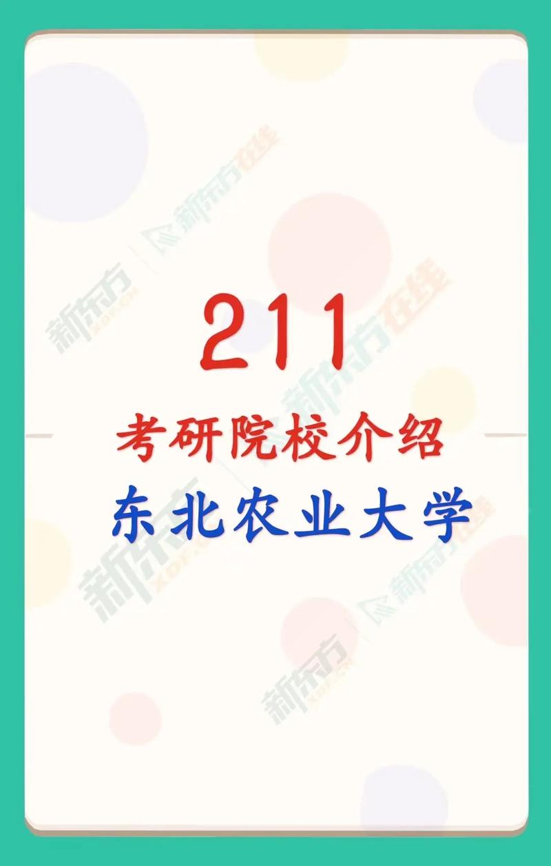 東北農(nóng)業(yè)大學是一本還是二本-圖1
