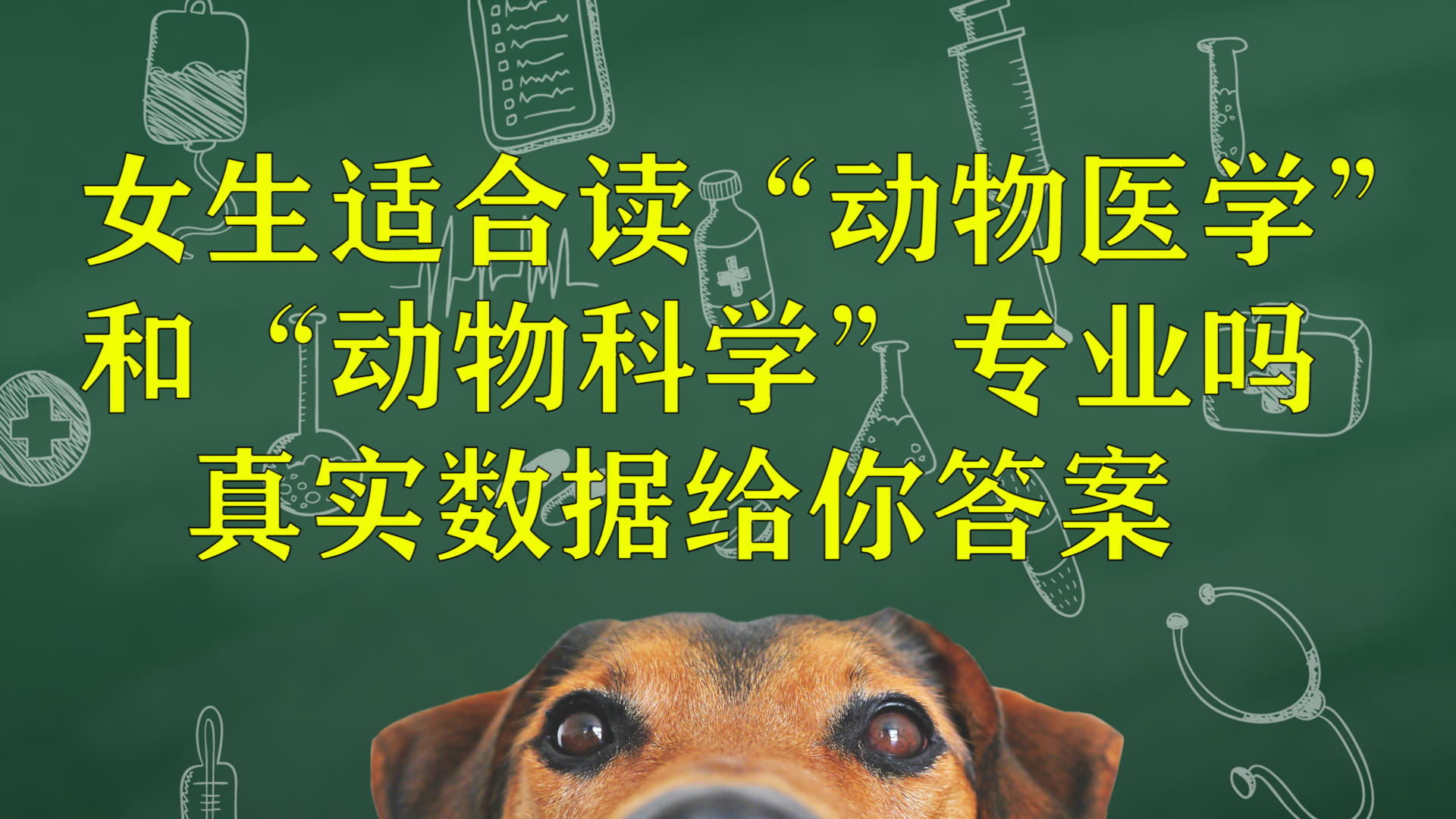 女生適合學(xué)動(dòng)物醫(yī)學(xué)專業(yè)嗎-圖1