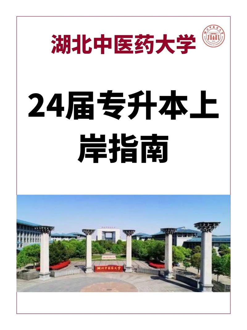 湖北中醫(yī)藥大學專升本-圖1