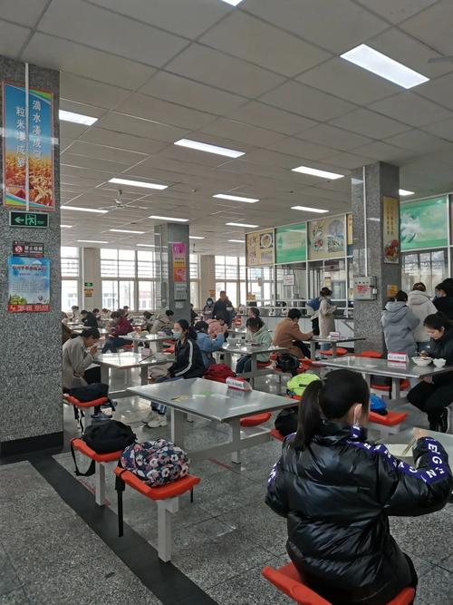 石河子大學教務一體化登錄入口（附網(wǎng)址+流程）-圖1