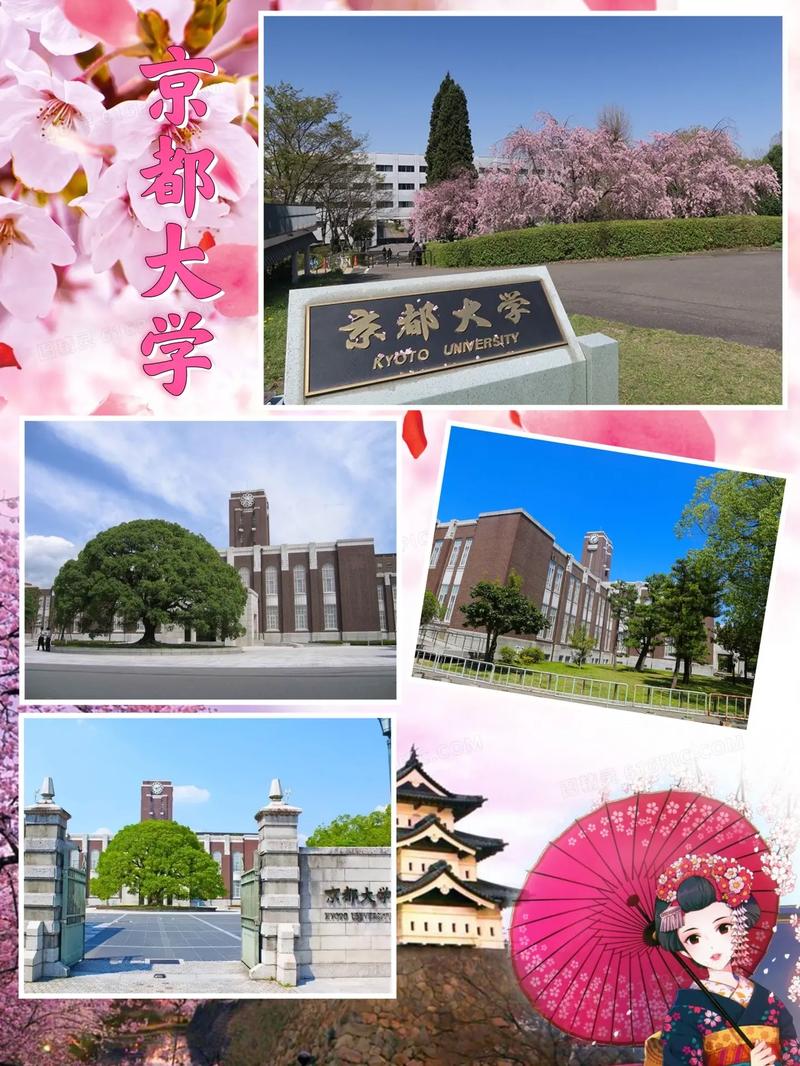 京都大學(xué)相當(dāng)于國(guó)內(nèi)哪所大學(xué)-圖1