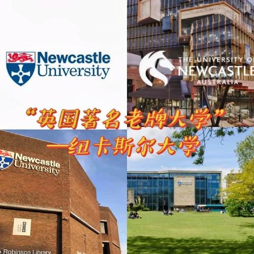 紐卡斯爾大學相當于國內什么大學？含金量高嗎？-圖1