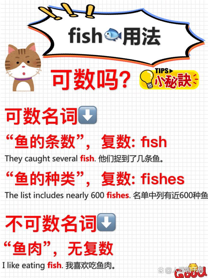 fish可數還是不可數 單復數形式一樣嗎-圖1