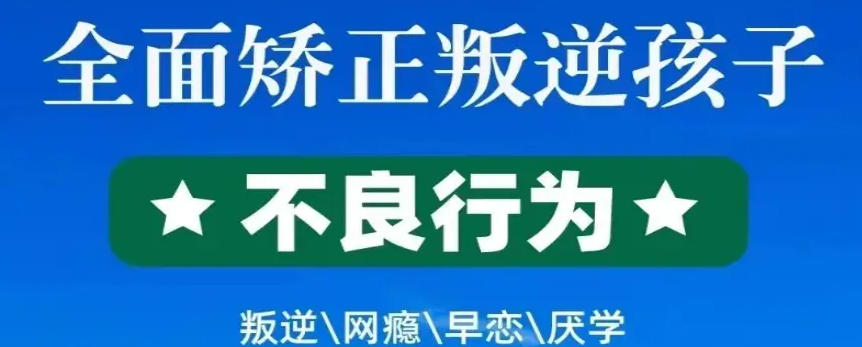 湖北武漢紐特心理-專注孩子網(wǎng)癮、抑郁、叛逆、早戀等問題-圖1
