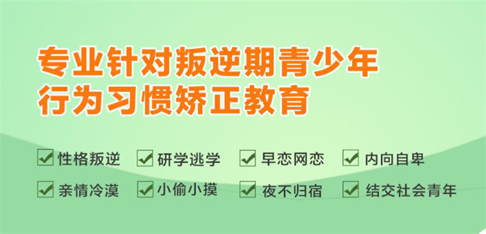 2025國(guó)內(nèi)武漢正規(guī)青春期叛逆厭學(xué)管教學(xué)?？诒笆畉op10-圖2