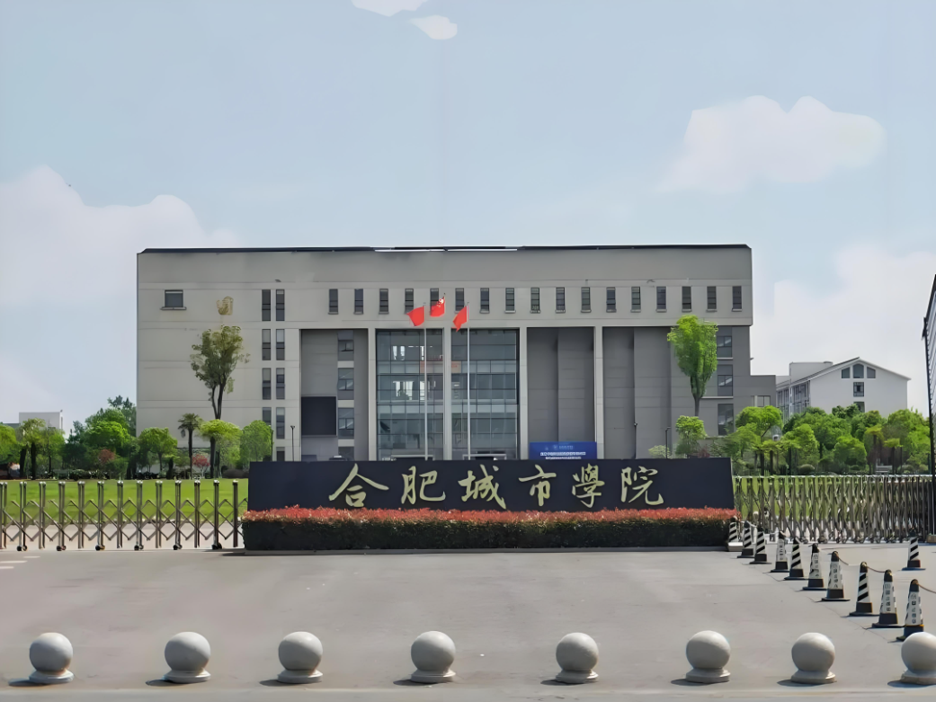 2025年成考專升本合肥城市學(xué)院財(cái)務(wù)管理專業(yè)政策解析：報(bào)名條件與流程全攻略-圖1