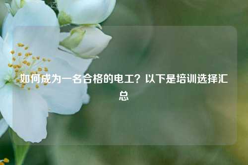如何成為一名合格的電工？以下是培訓(xùn)選擇匯總-圖1
