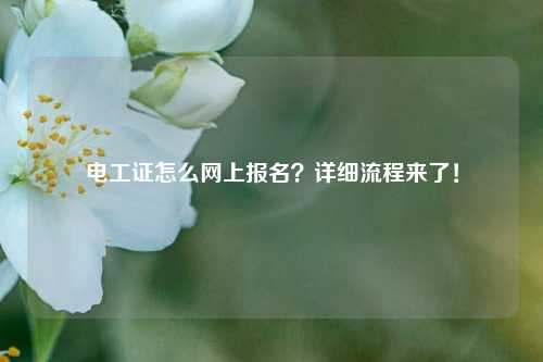 電工證怎么網(wǎng)上報名？詳細流程來了！-圖1