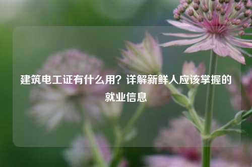 建筑電工證有什么用？詳解新鮮人應(yīng)該掌握的就業(yè)信息-圖1