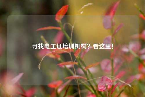 尋找電工證培訓(xùn)機(jī)構(gòu)？看這里！-圖1