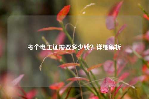考個電工證需要多少錢？詳細解析-圖1