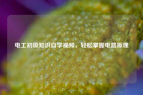 電工初級(jí)知識(shí)自學(xué)視頻，輕松掌握電路原理-圖1