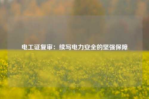 電工證復審：續(xù)寫電力安全的堅強保障-圖1