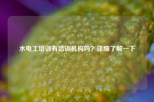 水電工培訓(xùn)有培訓(xùn)機構(gòu)嗎？詳細(xì)了解一下-圖1