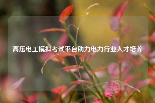 高壓電工模擬考試平臺助力電力行業(yè)人才培養(yǎng)-圖1
