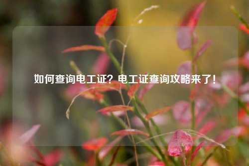 如何查詢電工證？電工證查詢攻略來了！-圖1