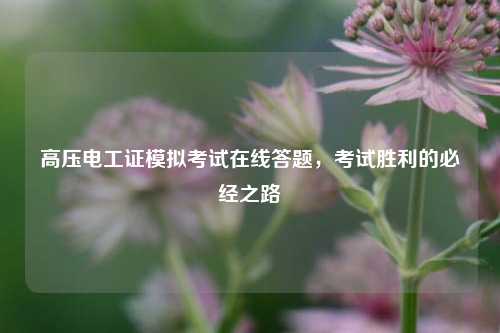 高壓電工證模擬考試在線答題，考試勝利的必經(jīng)之路-圖1